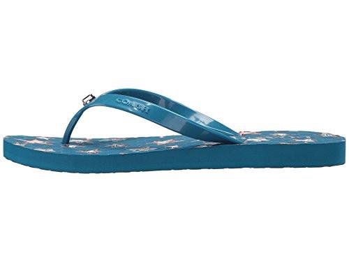 products/31sMy-fAeDL.jpg