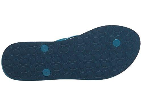 products/41lwt_2BLSZVL.jpg